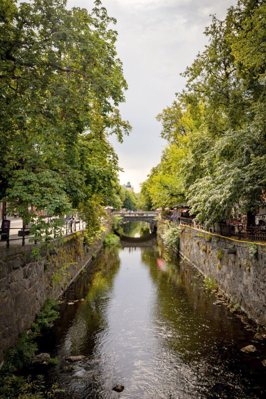 Fyrisån mellan trädkronorna i centrala Uppsala